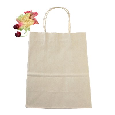 Different sizes custom gift bags kraft paper shopping bag paper bags with handles